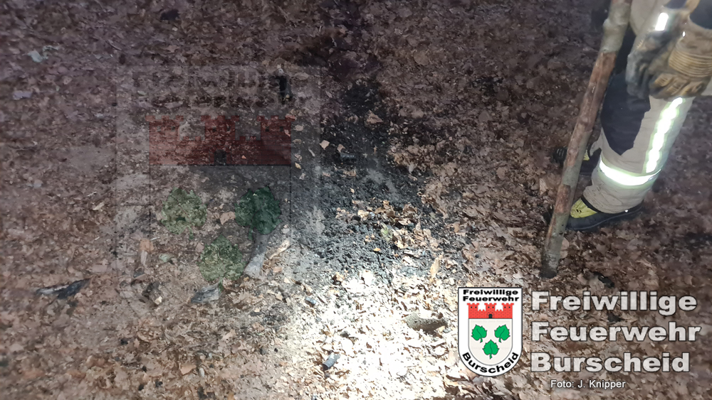 Brandstiftung im Wald. Glücklicherweise wurde diese Brandstelle früh genug entdeckt und gemeldet