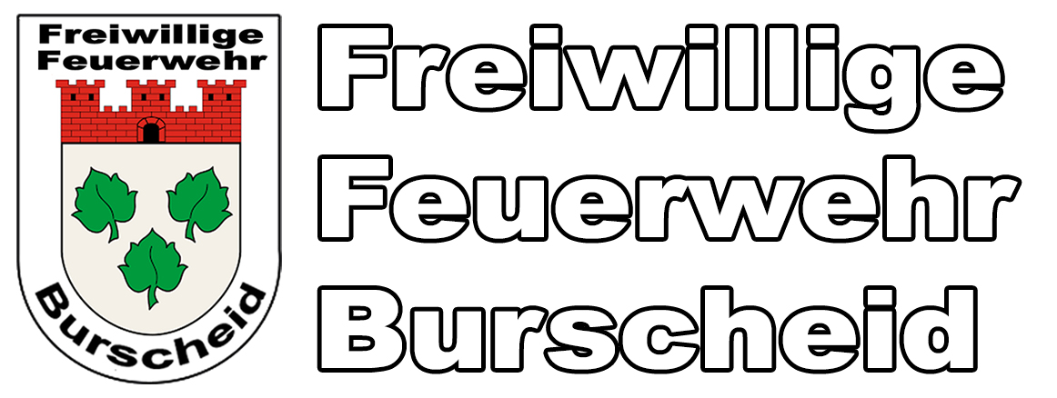 logo schrift ffb