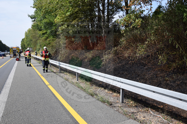 ARCHIV Auf der A1 brannten rund 200m² Vegetation Foto Jens Knipper Feuerwehr Burscheid ONLINE