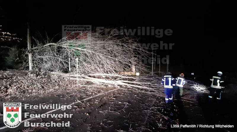 wersbach2
